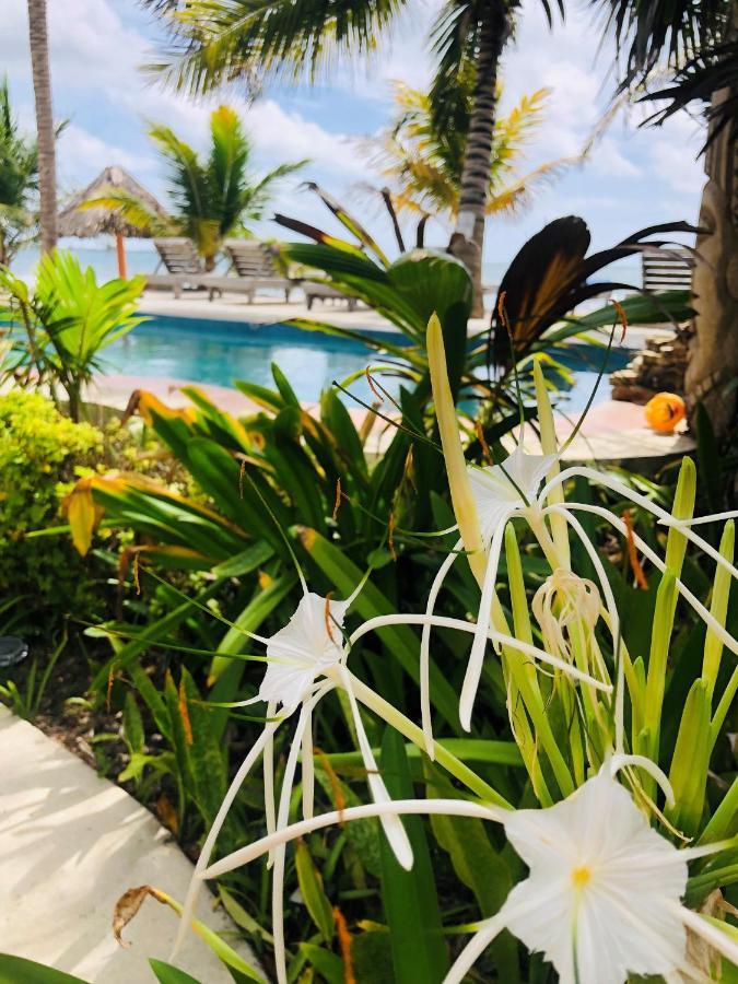 Coral Cove Inn Майя-Бич Экстерьер фото
